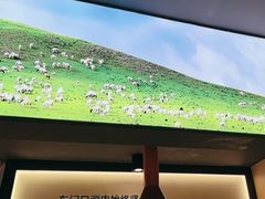 -东门口·新式老北京火锅(河西龙湖天街店)