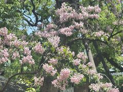 -吴山景区