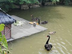 -常州武进九洲喜来登酒店
