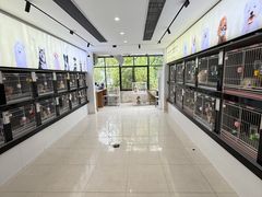 -翊宠yipet猫狗购宠庄园犬舍•猫舍