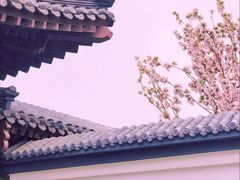 -水西公园