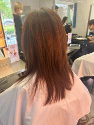 -付军剪艺JF ProSalon
