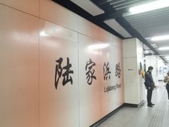 -陆家浜路(地铁站)