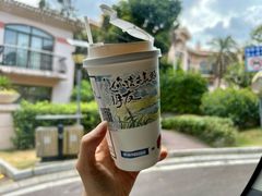 -圣爵菲斯大酒店(长沙世界之窗店)