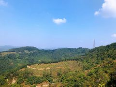 -天鹿湖森林公园