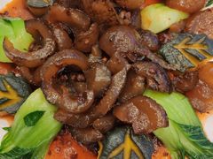 老干妈烧海参-皇马假日醉海南大酒店·假日一品派茶楼(秀英店)