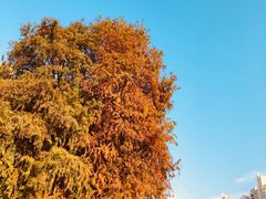 -肥妹烧腊店(洪湖店)