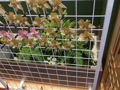 -大鹏佳兆业广场