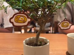 -CURRY YA 熟成咖哩專門店(深圳湾万象城店)