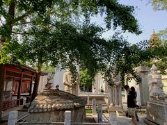 -北京石刻艺术博物馆(五塔寺)