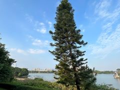 -海珠湖公园