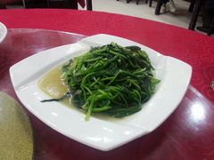 清炒菠菜-石家饭店原址