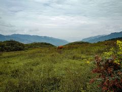 -山王坪喀斯特国家生态公园