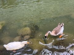 -活水公园