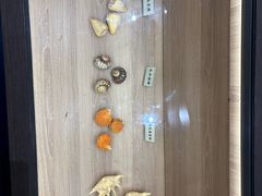 -广东惠东海龟国家级自然保护区