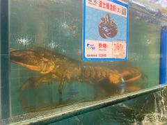 水产区-琼大师东方烤乳猪(亚特兰蒂斯店)