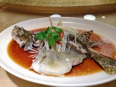 -青城山六善酒店·紫氣園中餐厅