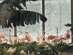 -北京动物园