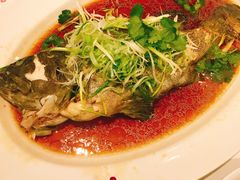 -潮江春(铜锣湾广场店)