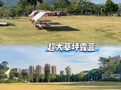 -白石龙音乐公园