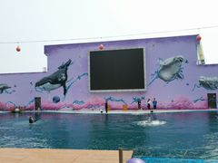 -北戴河圣蓝海洋公园