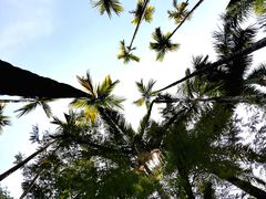 -曼听御花园