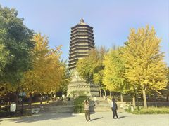 -玲珑塔公园