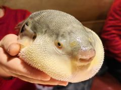 -永安鱼庄·镇江菜(丁卯店)