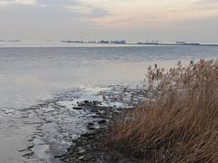 -上海吴淞炮台湾国家湿地公园