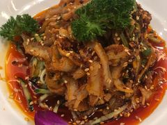 -丁老爷子苏香圆