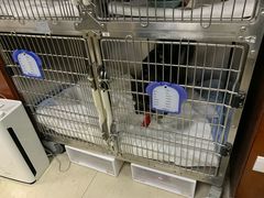 -美联众合动物医院·24h转诊中心