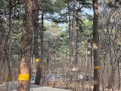 -北京西山国家森林公园