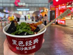 -黑色经典臭豆腐·湖南特产(步行街店)