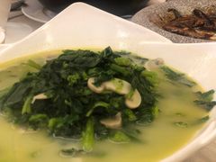 上汤万年青-银都上海菜馆(粤海东路店)
