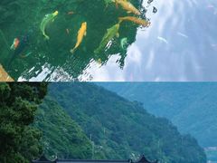 -严子陵钓台(富春江小三峡)
