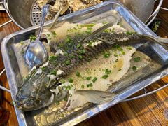 盐油蒸山坑鲩-飞尝蚝·顺德菜·鱼生(顺德总店)