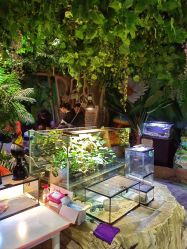 -酷嗒动物文化乐园(cutezoo西溪乐天城店)