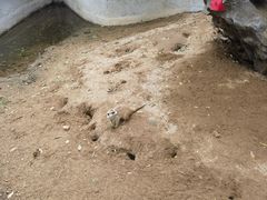 -竹泉村旅游度假区