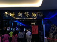 -绮丽珊瑚博物馆(台东店)