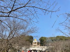 -苏州上方山国家森林公园