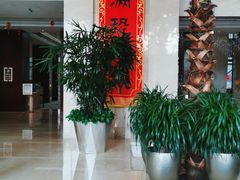 -常州环球恐龙城维景国际大酒店