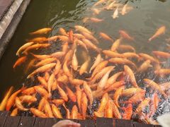 -枫香湖儿童公园