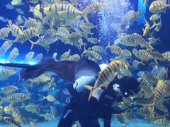 -华夏文旅海洋公园