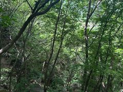 -北京密云天门山风景区