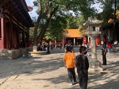 -南岳衡山风景名胜区-南岳大庙