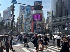-涩谷全向十字路口