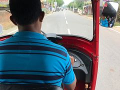 -尼甘布海鲜市场