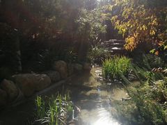 -东方华地城湿地温泉度假区