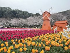 -苏州上方山国家森林公园