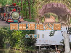 -同里国家湿地公园